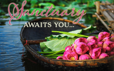 Claim your time for Sanctuary. Replenish and renew with us.